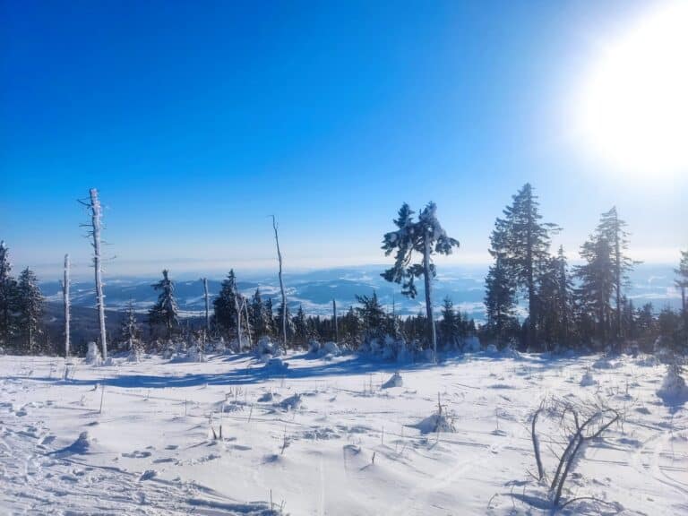 Lyžařský kurz 6.2.-10.2.2023